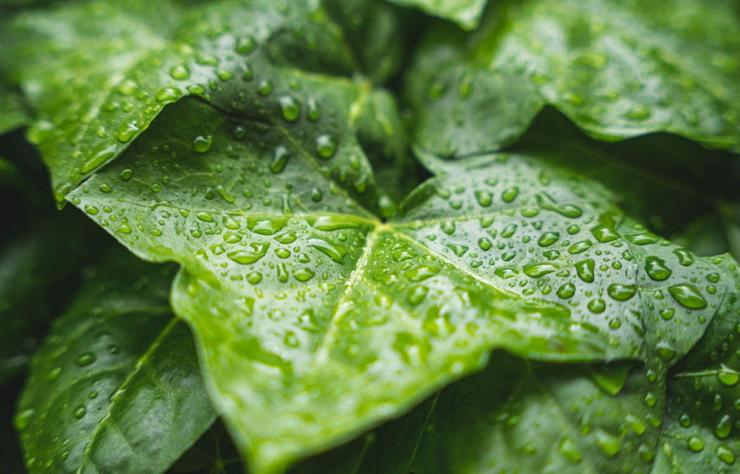 What to do when it rains all day?