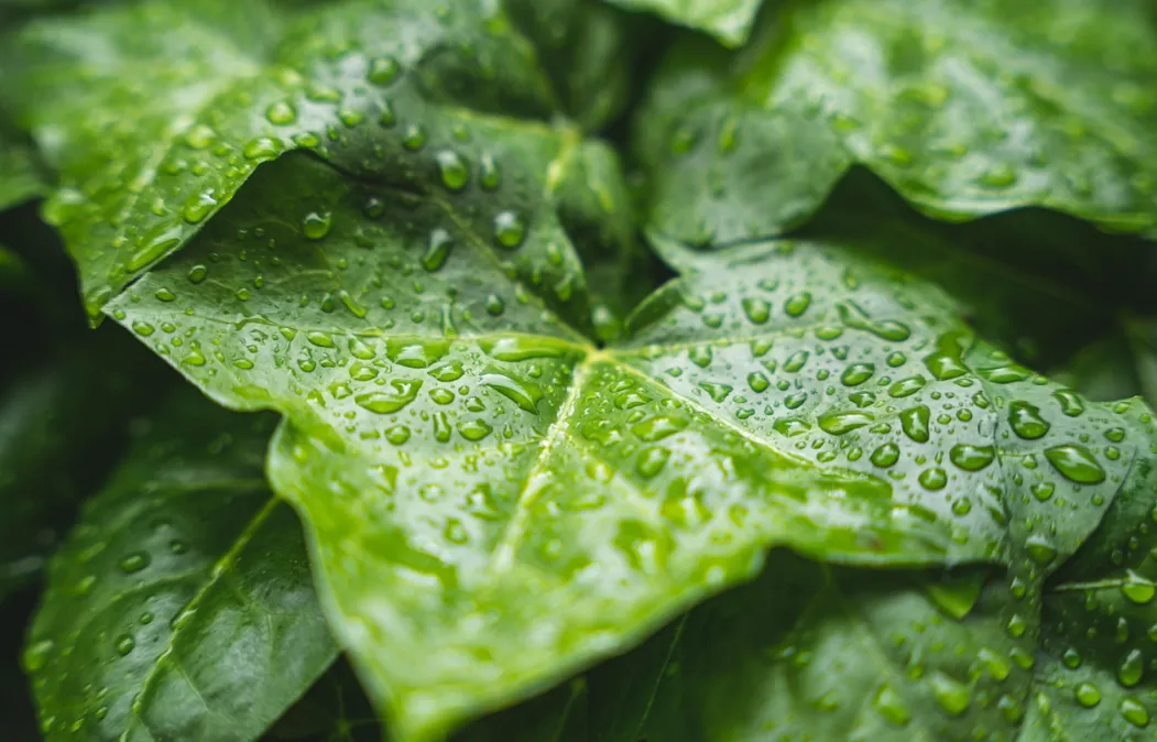 What to do when it rains all day?